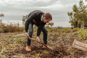 MyFarm Harta farm bio zöldség gyümölcs tudatos táplálkozás