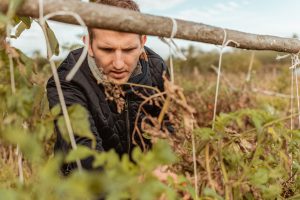 MyFarm Harta farm bio zöldség gyümölcs tudatos táplálkozás