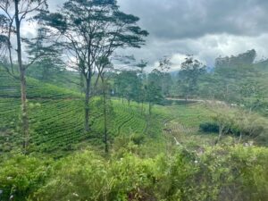 sri lanka utazás világjárás Impulzív Magazin
