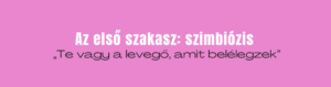 párkapcsolat impulzív magazin