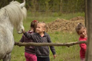 Gyermekek fejlődése: gyerekek játszanak a lóval