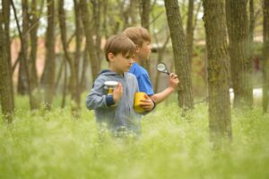 Gyermekek fejlődése: gyerekek a természetben játszanak